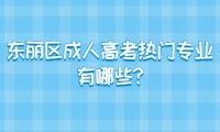 東麗區(qū)成人高考熱門專業(yè)有哪些?