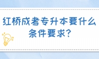 紅橋成考專升本要什么條件要求?