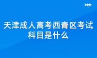 2024年天津成人高考西青區(qū)考試科目是什么？
