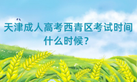 2024年天津成人高考西青區(qū)考試時(shí)間什么時(shí)候？