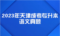 2024年天津成考專升本語文真題
