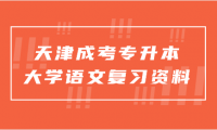 2024年天津成考專升本大學(xué)語(yǔ)文復(fù)習(xí)資料