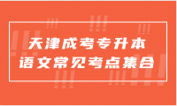 2024年天津成考專升本語(yǔ)文常見(jiàn)考點(diǎn)集合