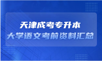 2024年天津成考專升本大學(xué)語(yǔ)文考前資料匯總