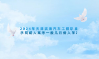 2024年天津濱海汽車工程職業(yè)學(xué)院成人高考一般幾月份入學(xué)?
