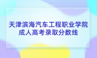 天津?yàn)I海汽車工程職業(yè)學(xué)院成人高考錄取分?jǐn)?shù)線