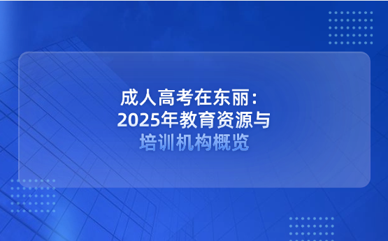 成人高考在東麗：2025年教育資源與培訓(xùn)機構(gòu)概覽