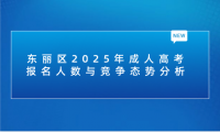東麗區(qū)2025年成人高考報名人數(shù)與競爭態(tài)勢分析