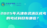 2025年天津市武清區(qū)成考的考試科目有哪些？