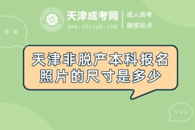 天津非脫產(chǎn)本科報(bào)名照片的尺寸是多少