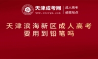 天津濱海新區(qū)成人高考要用到鉛筆嗎
