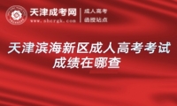 天津濱海新區(qū)成人高考考試成績在哪查