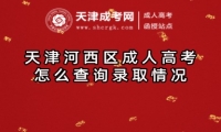 天津河西區(qū)成人高考怎么查詢錄取情況