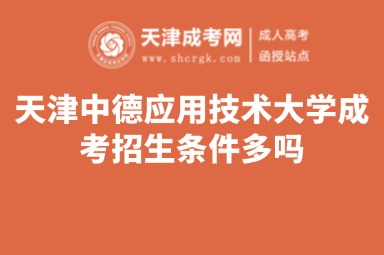 天津中德應(yīng)用技術(shù)大學(xué)成考招生條件多嗎