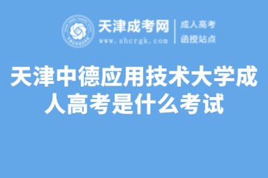 天津中德應(yīng)用技術(shù)大學(xué)成人高考是什么考試