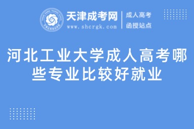 河北工業(yè)大學(xué)成人高考哪些專業(yè)比較好就業(yè)