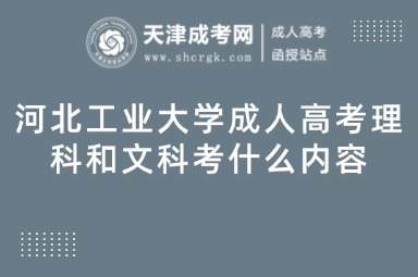 河北工業(yè)大學成人高考理科和文科考什么內(nèi)容