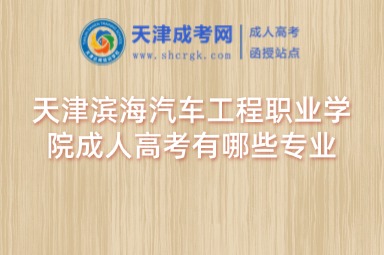 天津?yàn)I海汽車(chē)工程職業(yè)學(xué)院成人高考有哪些專(zhuān)業(yè)