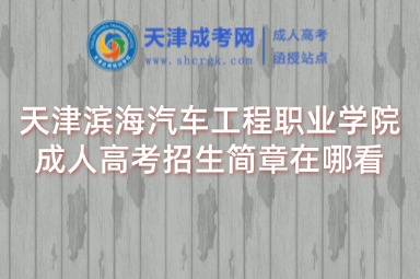 天津濱海汽車工程職業(yè)學院成人高考招生簡章在哪看