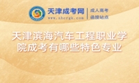 天津?yàn)I海汽車工程職業(yè)學(xué)院成考有哪些特色專業(yè)