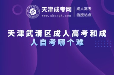 天津武清區(qū)成人高考和成人自考哪個難