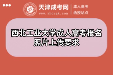 西北工業(yè)大學(xué)成人高考報(bào)名照片上傳要求