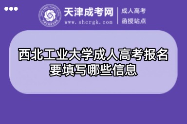 西北工業(yè)大學(xué)成人高考報(bào)名要填寫哪些信息