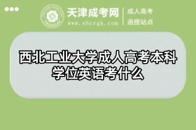 西北工業(yè)大學(xué)成人高考本科學(xué)位英語考什么