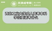 西北工業(yè)大學成人高考本科學位英語考什么
