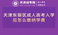 天津東麗區(qū)成人高考入學后怎么繳納學費