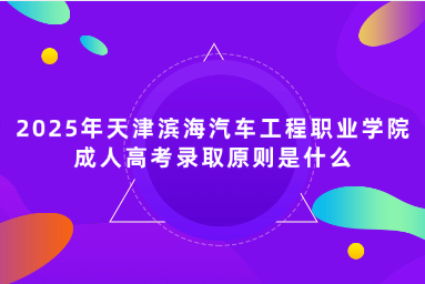 2025年天津?yàn)I海汽車工程職業(yè)學(xué)院成人高考錄取原則是什么