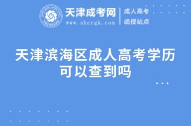 天津?yàn)I海區(qū)成人高考學(xué)歷可以查到嗎