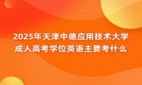 2025年天津中德應(yīng)用技術(shù)大學成人高考學位英語主要考什么？
