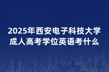 2025年西安電子科技大學(xué)成人高考學(xué)位英語考什么？