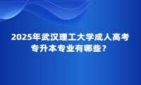 2025年武漢理工大學(xué)成人高考專升本專業(yè)有哪些？