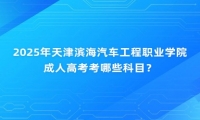 2025年天津?yàn)I海汽車工程職業(yè)學(xué)院成人高考考哪些科目？