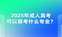 2025年成人高考可以報考什么專業(yè)？