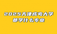 2025天津成考大學(xué)都學(xué)什么專業(yè)