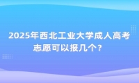 2025年西北工業(yè)大學(xué)成人高考志愿可以報(bào)幾個(gè)？