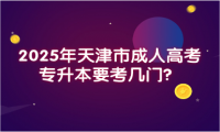 2025年天津市成人高考專升本要考幾門？